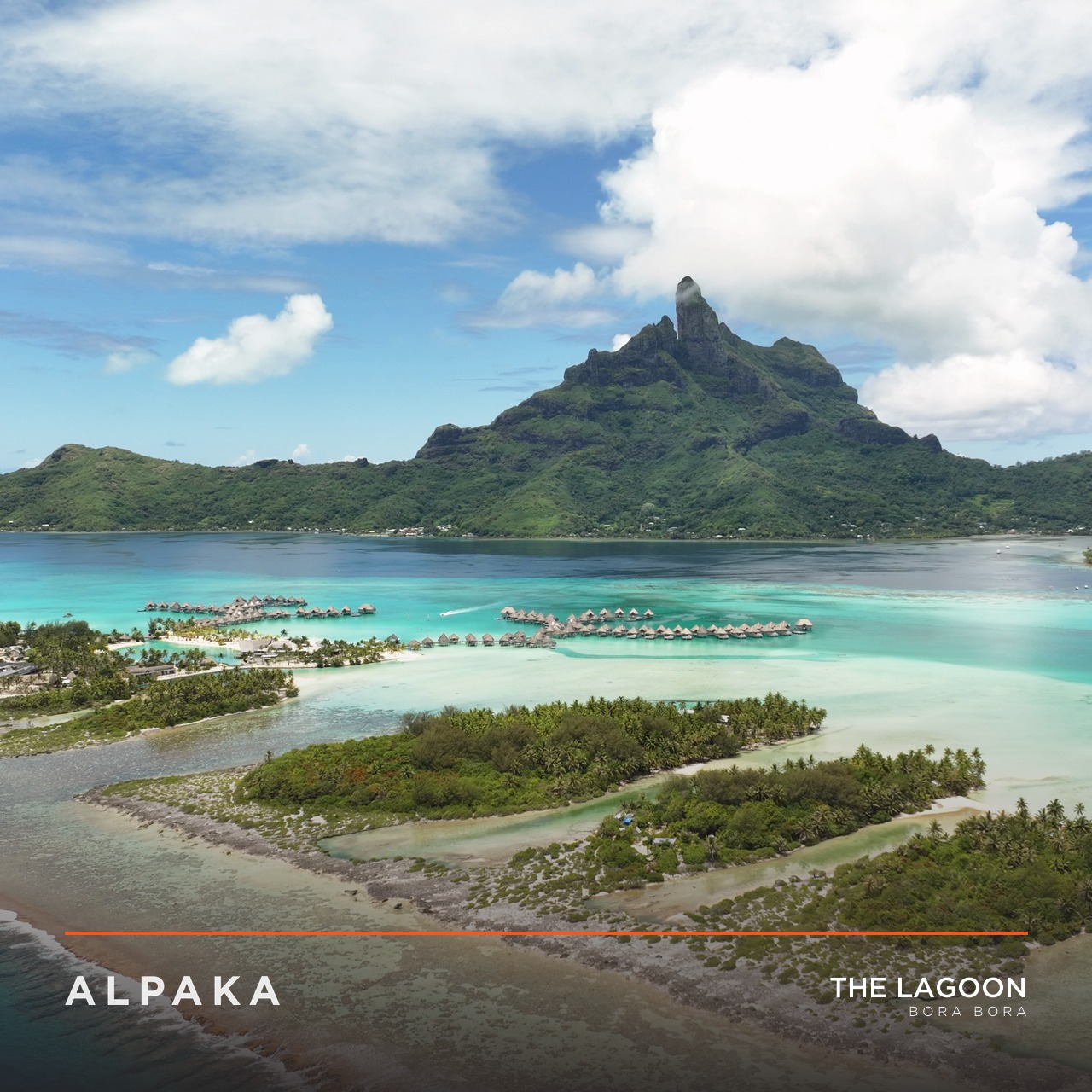 THE LAGOON label