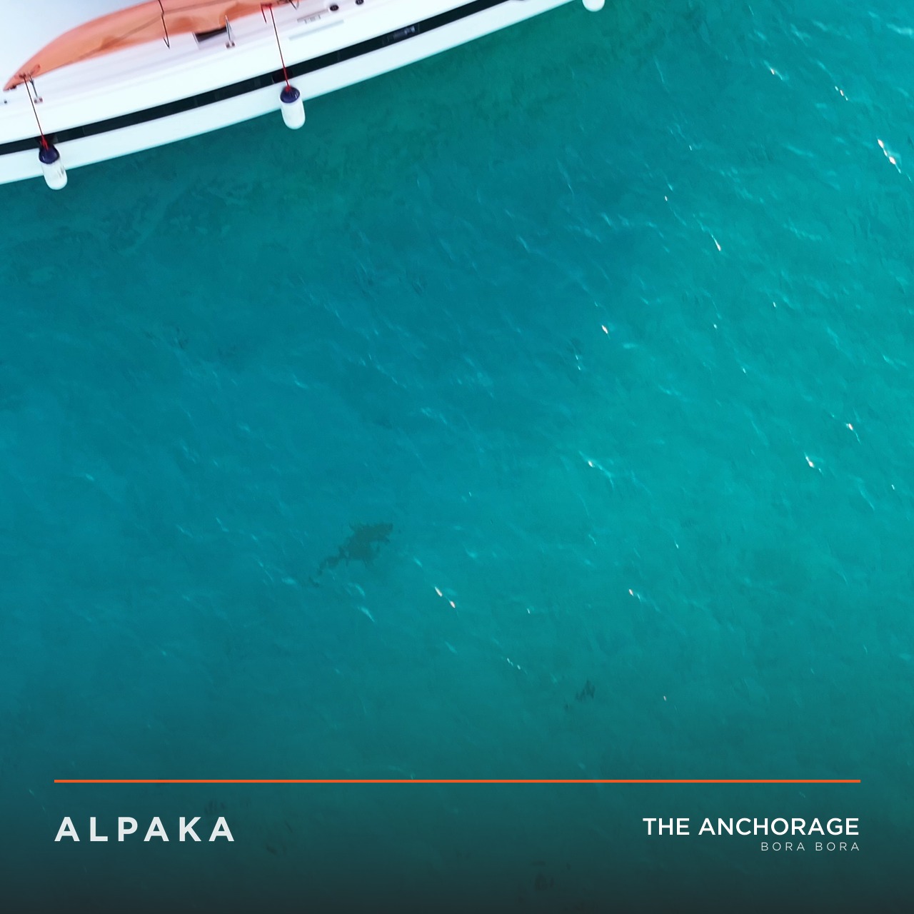 THE ANCHORAGE label